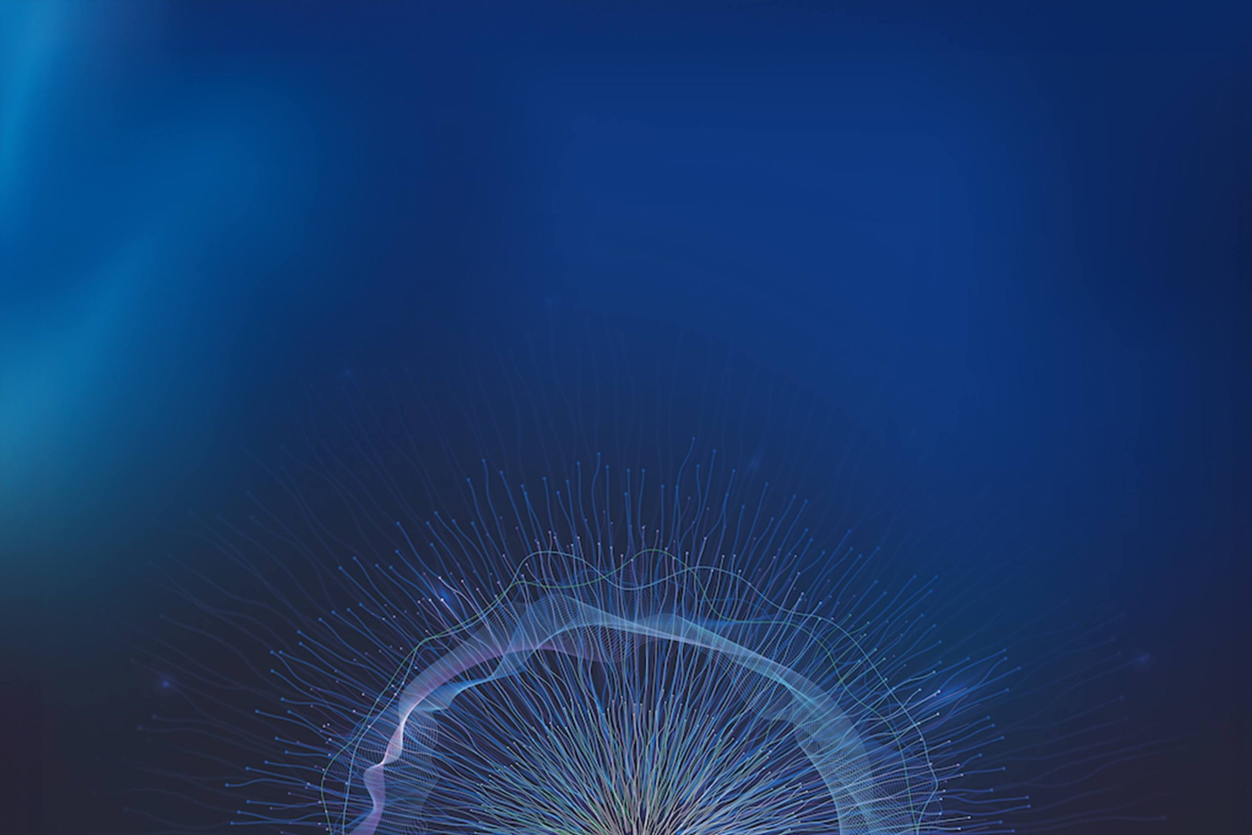 HT Extend Haitian France